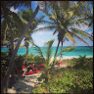 Meet your Posher, Sam